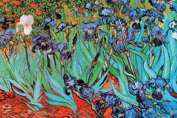 Van Gogh - Irises
