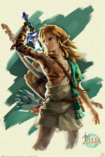 Zelda - Tears of the Kingdom Link