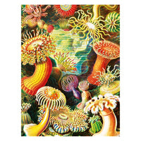 MUSHROOM ART