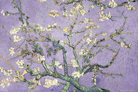Almond Branches - Purple