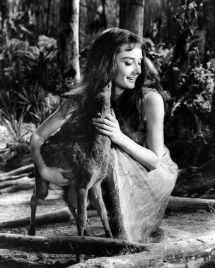 Audrey Hepburn as Rima