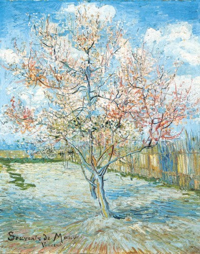 Vincent Van Gogh - Pink Peach Tree