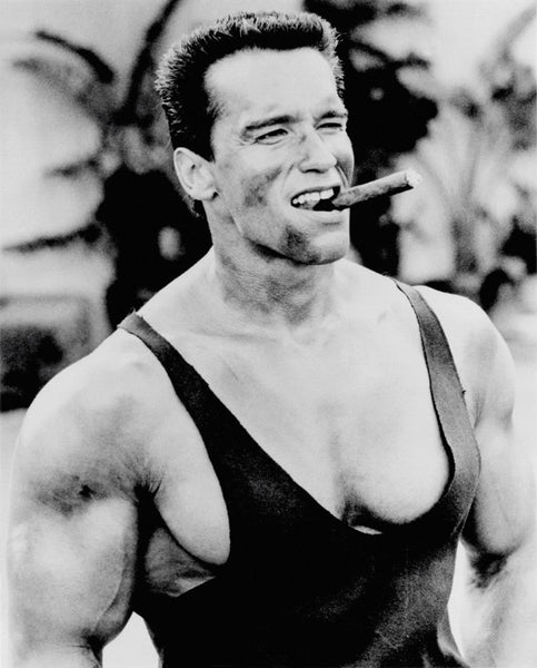 Arnold Cigar