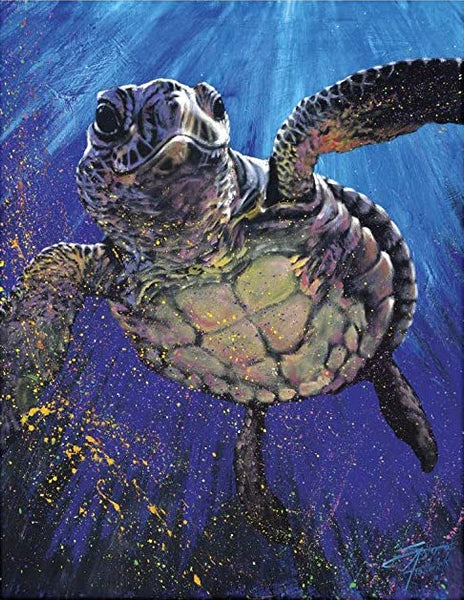 Sea Turtles