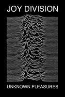 Joy Division