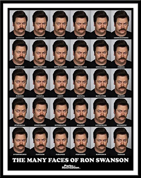 Parks and Recreation Many Faces of Swanson