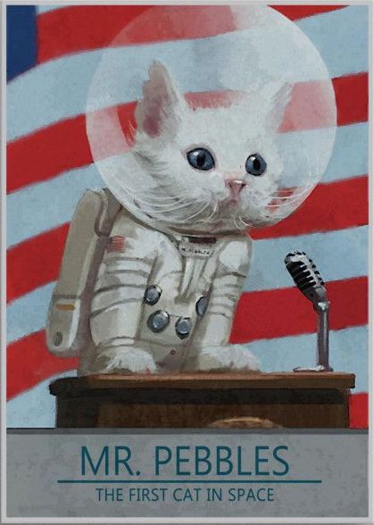 Mr Pebbles First Cat in Space