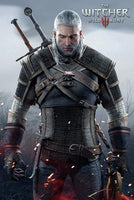 The Witcher