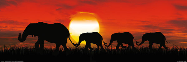 Elephant Sunset