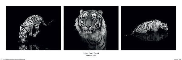 Into the Dark - Tiger