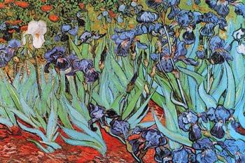 Monet - Irises