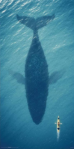 Whale Silhouette