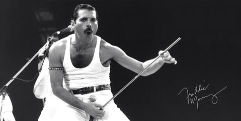 Freddie Mercury