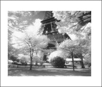 AFTERNOON IN PARIS