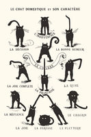 LE CHAT DOMESTIQUE
