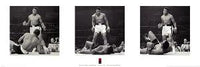 ALI - LISTON TRIPTYCH
