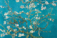 ALMOND BRANCHES