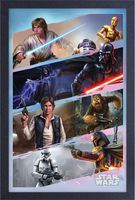 Star Wars - Heroes and Villains Framed Gelcoat