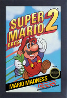 Super Mario Bros 2 Framed Gelcoat