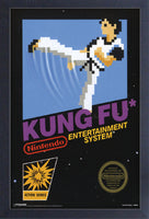 Kung Fu Framed Gelcoat