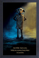 Harry Potter - Dobby Protect Framed Gelcoat