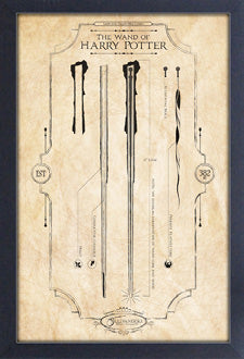 Harry Potter - Wand of Harry Framed Gelcoat