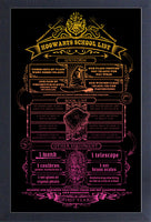 Harry Potter - School List Framed Gelcoat