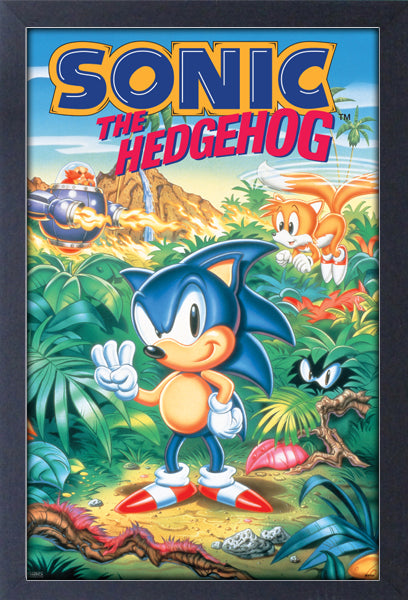 Sonic The Hedgehog 3 Framed Gelcoat