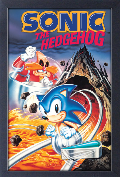 Sonic The Hedgehog - Pinball Framed Gelcoat