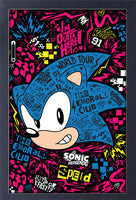 Sonic The Hedgehog Emerald Club Framed Gelcoat
