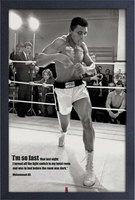 Ali - Fast Framed Gelcoat